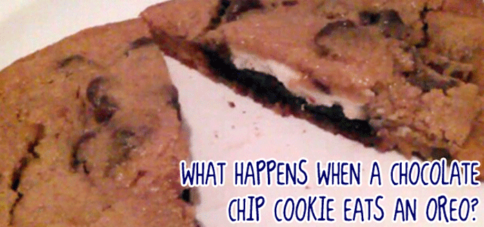 Oreo stuffed inside chocolate chip cookie